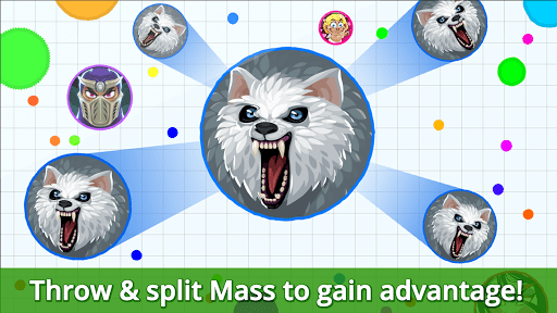 Agar.io_16