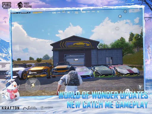 PUBG MOBILE_3