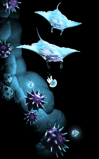 Seashine_16